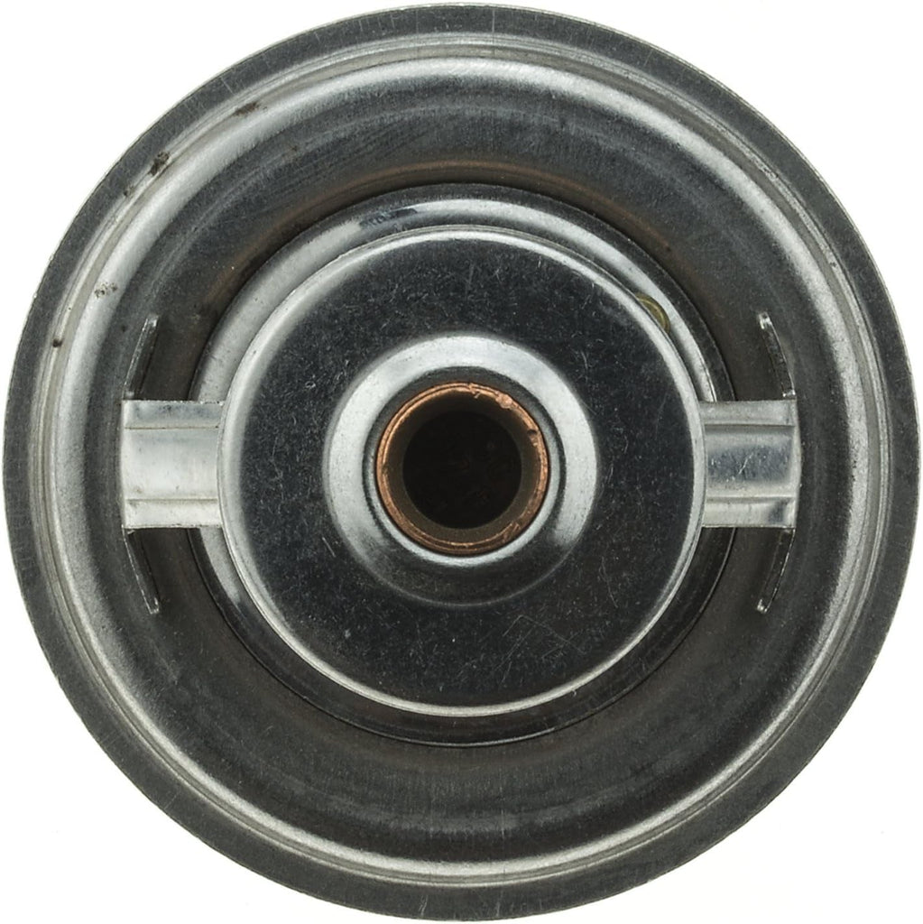 246-174 Thermostat