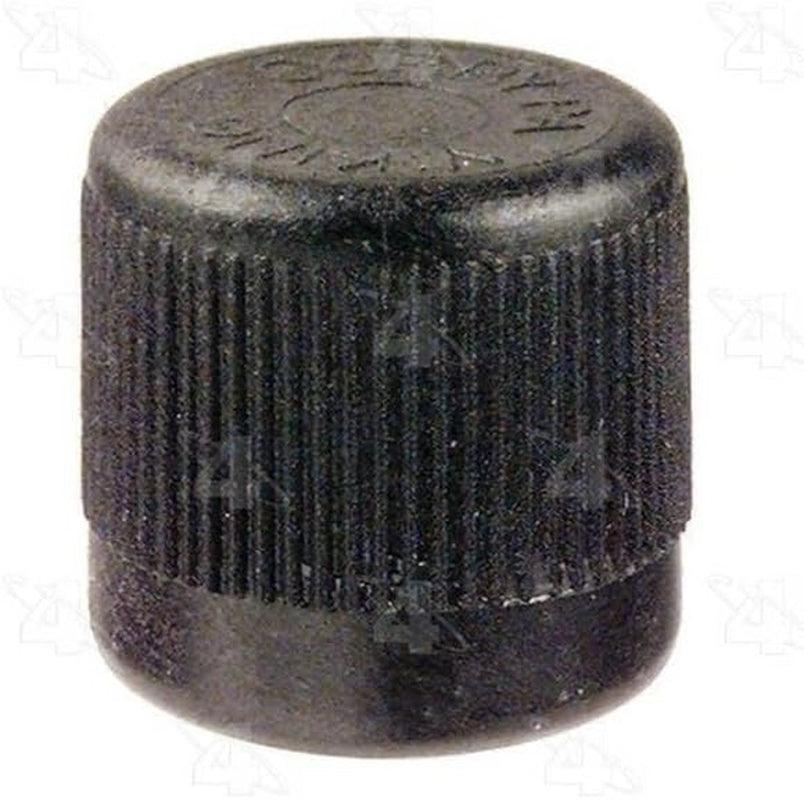 59620 Service Port Cap