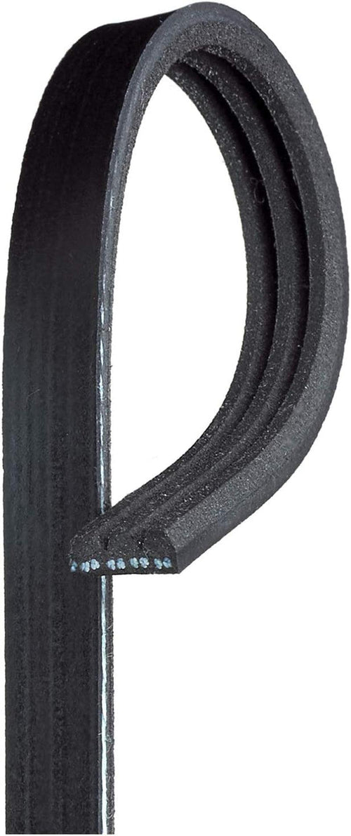 Gold 3K295 Standard V-Ribbed Serpentine Belt