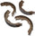 Professional 17976B Bonded Rear Parking Brake Shoe Set