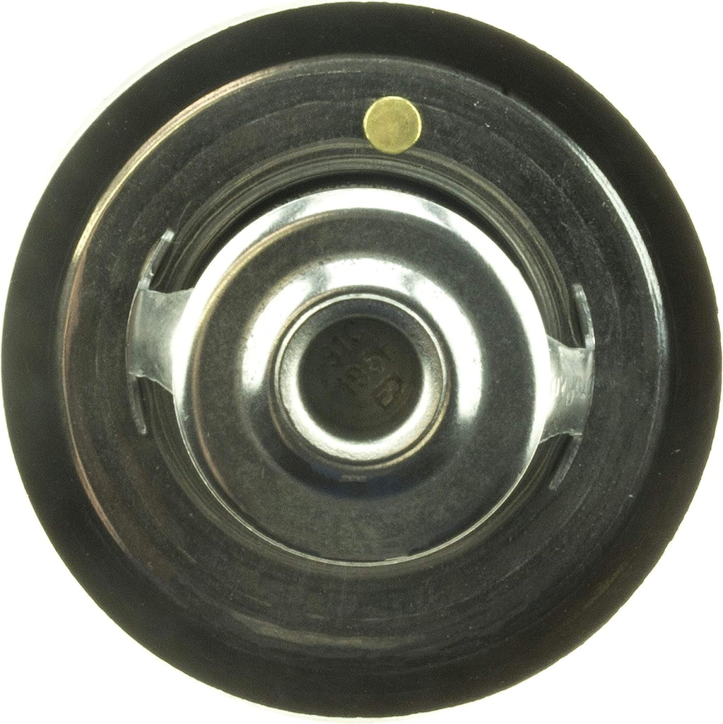 33019S Thermostat