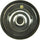 33019S Thermostat