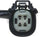 250-241052 4-Wire Oxygen Sensor