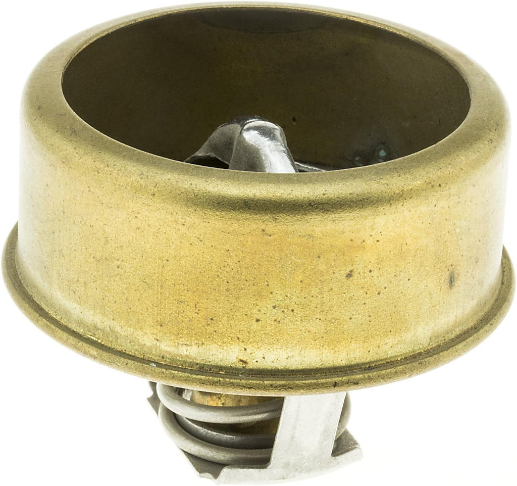 238-170 Thermostat