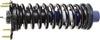 Roadmatic 181577R Strut and Coil Spring Assembly