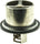 34289 Green Stripe Heavy-Duty Engine Coolant Thermostat