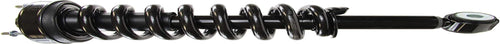 Roadmatic 181362 Strut and Coil Spring Assembly