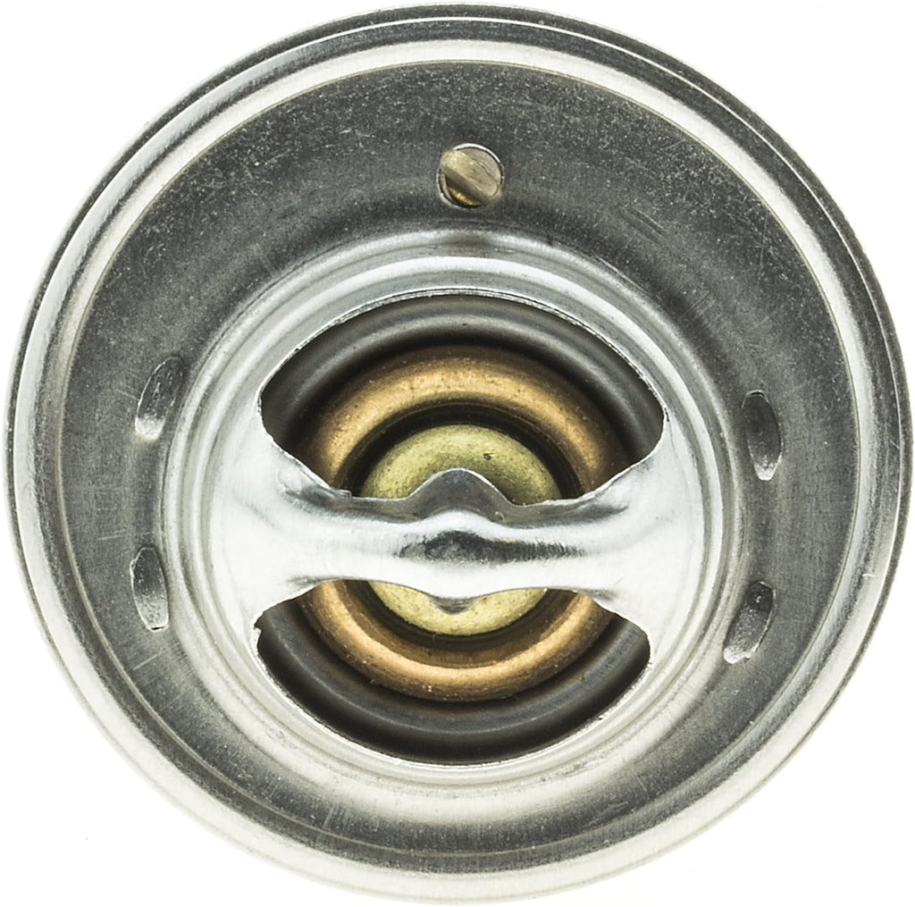 242-160 Thermostat