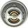 242-160 Thermostat