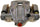 Professional 18R12512 Rear Driver Side Disc Brake Caliper Assembly with Ceramic Pads (Loaded Non-Coated), Remanufactured