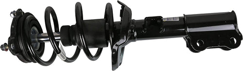 Roadmatic 183072 Strut and Coil Spring Assembly