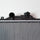 2722 for Mitsubishi Galant 1-Row Plastic Aluminum Replacement Radiator