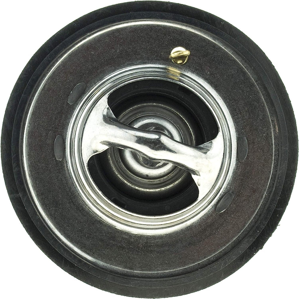 33019S Thermostat