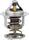 GM Original Equipment 131-156 Engine Coolant Thermostat