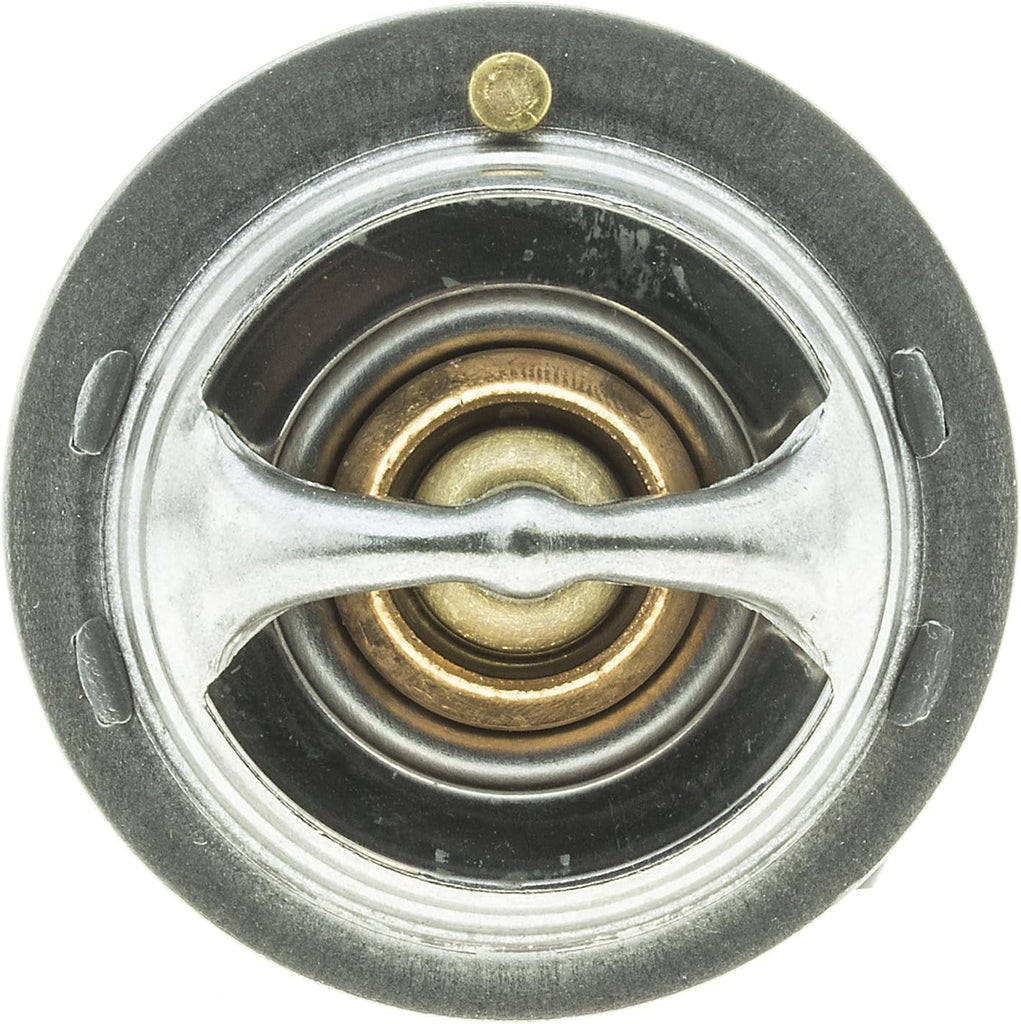 294-192 Thermostat