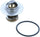 1121-192: Engine Coolant Thermostat