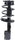 Roadmatic 182902 Suspension Strut and Coil Spring Assembly