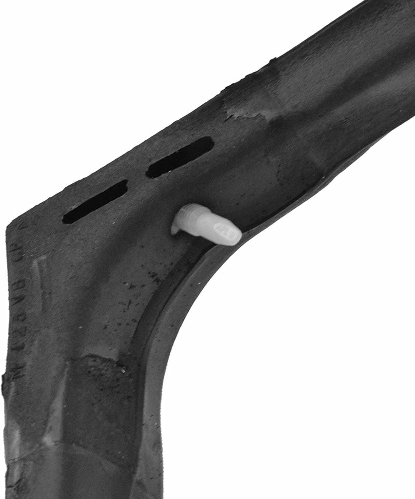 Cargo Door Weatherstrip Seal Forward Side RH Right for Dodge Plymouth Van