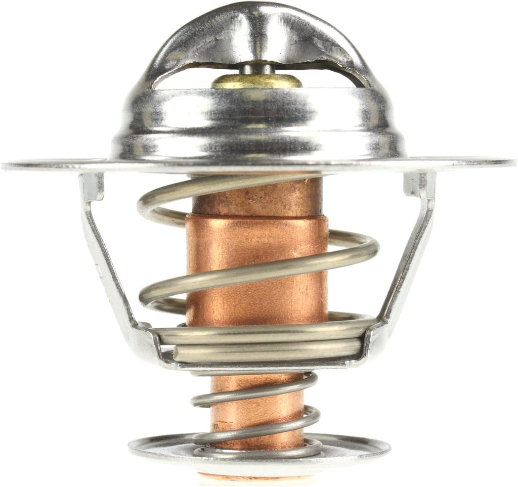 229-180 Thermostat