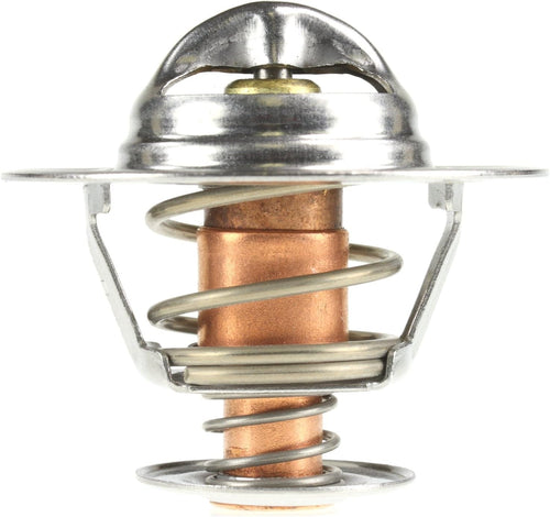 229-195 Thermostat