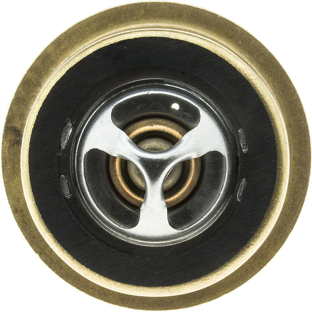 245-180 Thermostat with Seal