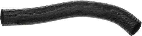 Gold 22478M Molded Lower Radiator Hose