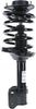 182565 Suspension Strut and Coil Spring Assembly