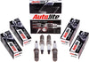 APP25 Double Platinum Automotive Replacement Spark Plugs (4 Pack)