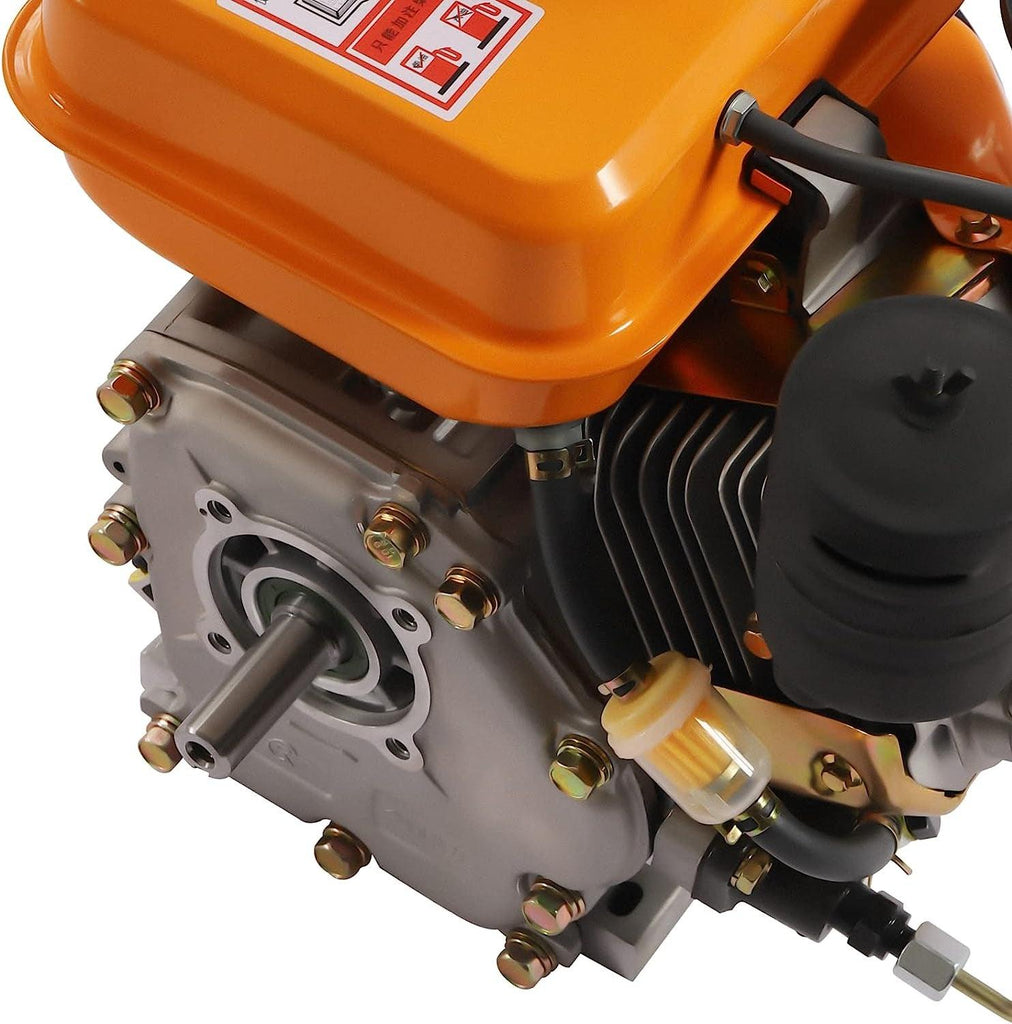196CC Diesel Engine 2.2KW Single Cylinder Diesel Motor 3000 RPM Air Cooling Vertical Engine Manual Start for Agricultural Production (Orange)