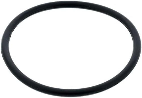 MG1006EA: Engine Coolant Thermostat Seal