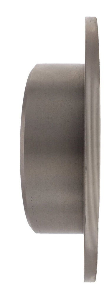 Centric Rear Disc Brake Rotor for BMW (121.34019)