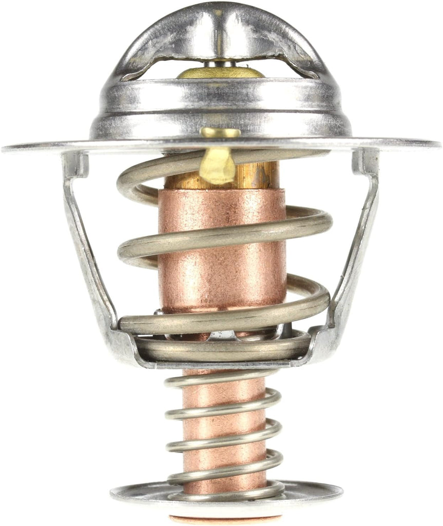 319-195 Thermostat