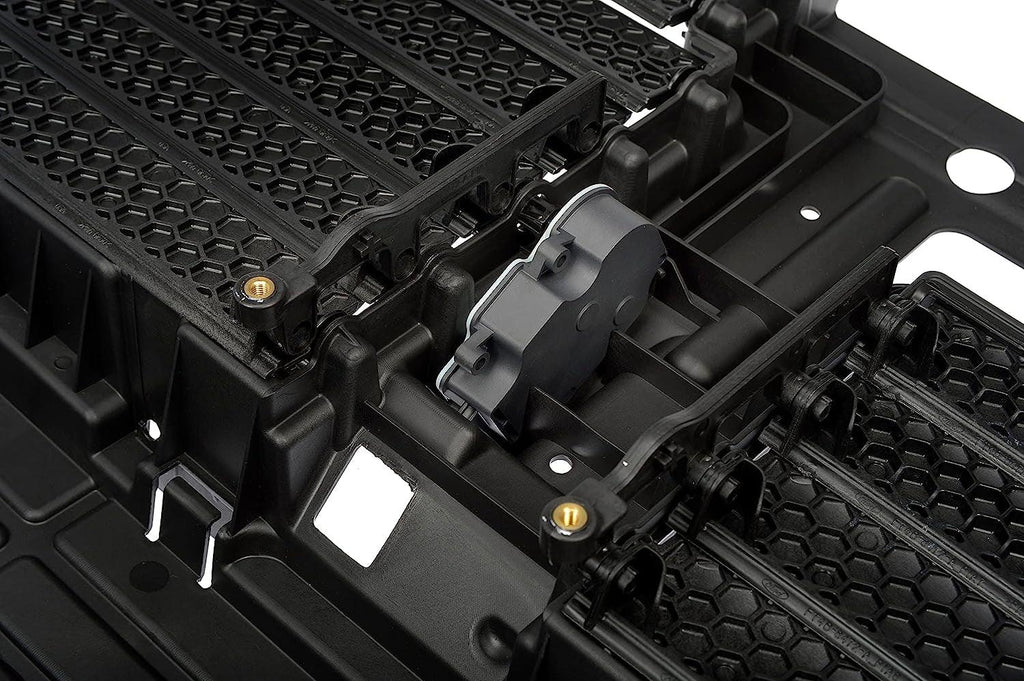 Dorman 601-579 Radiator Shutter Assembly Compatible with Select Ford Models