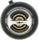 34078 OE Type Engine Coolant Thermostat