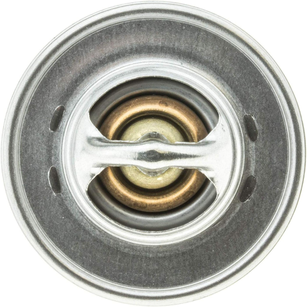 OE Type Thermostat, Stainless Steel