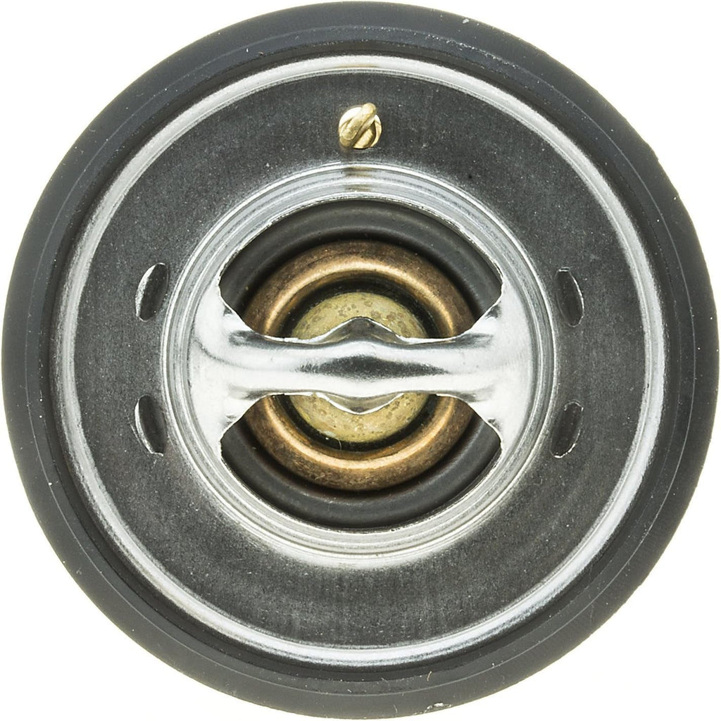 265-160 Thermostat with Seal, Silver