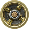 245-180 Thermostat with Seal