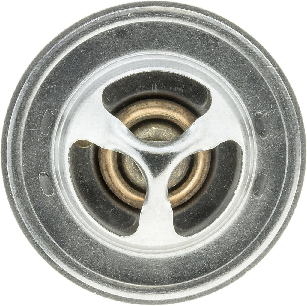 298-192 Thermostat
