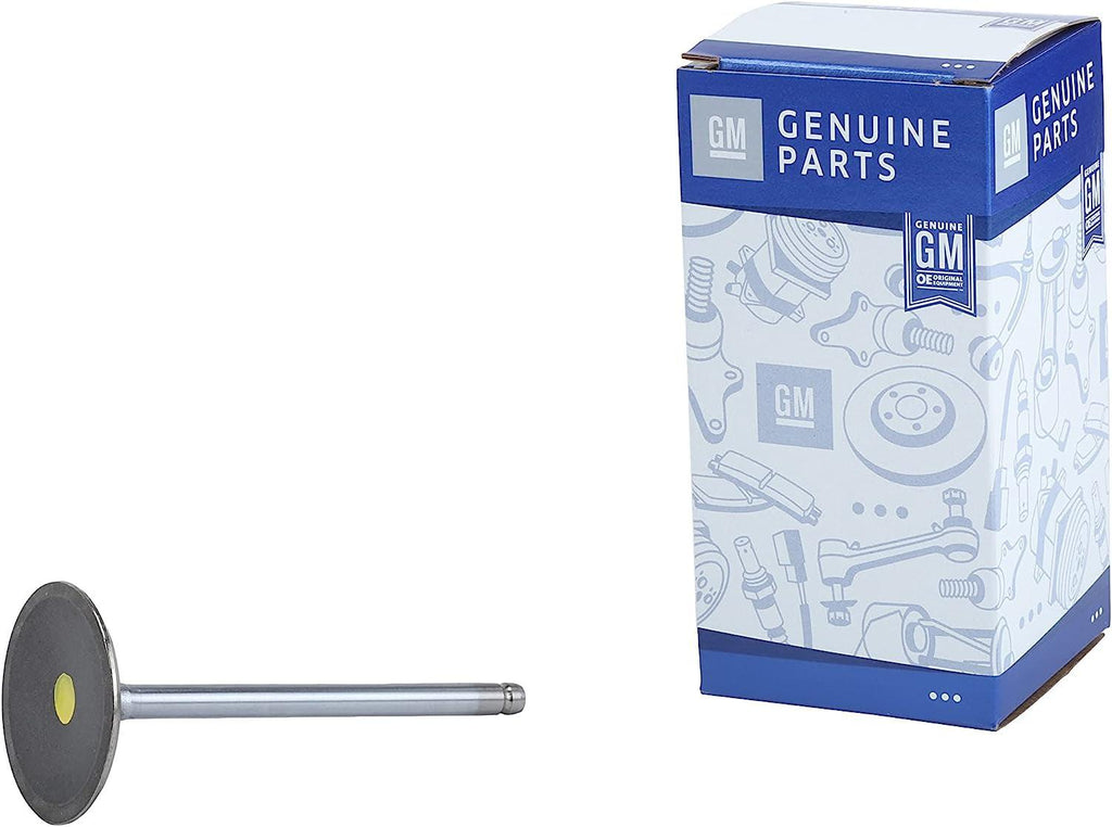 12605223 LSA Intake Valve