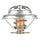 304-192 Thermostat