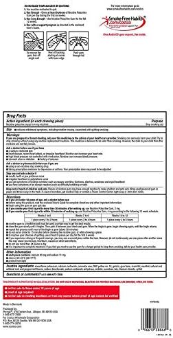 Kirkland Signature Quit Ice Mint Gum 2mg, 300 Pieces