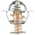 242-170 Thermostat