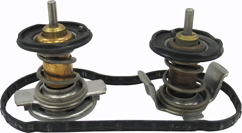 49200 Engine Coolant Thermostat