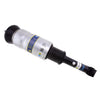 45-218644 Bilstein Shock Absorbers - greatparts