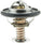 299-170 Thermostat with Seal