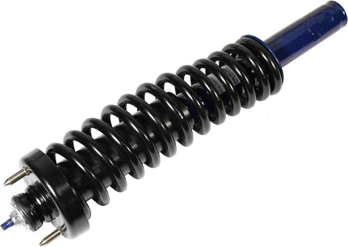 Roadmatic 181291L Strut and Coil Spring Assembly