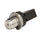 0281006266 Fuel Pressure Sensor