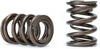 311-05-1350 Tuner Series Valve Spring Set