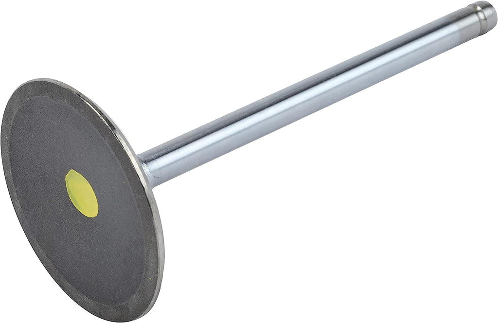 12605223 LSA Intake Valve