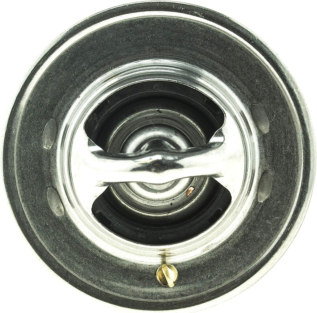 33339S Thermostat